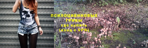 шишки Алексеевка
