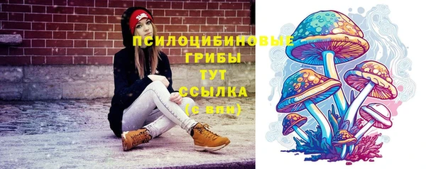 шишки Алексеевка