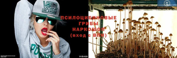 прущая мука Алзамай
